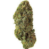 BANDWAGON SATIVA ROTATIONAL