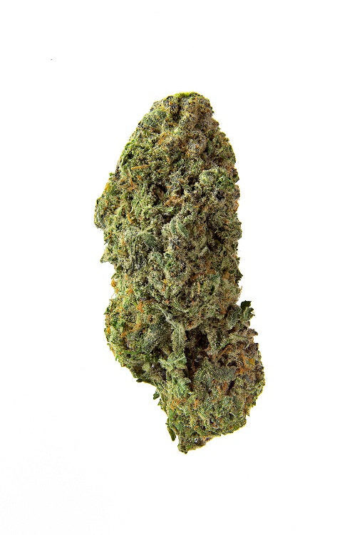 BANDWAGON SATIVA ROTATIONAL