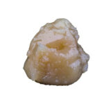 LA KC X ANIMAL STYLE LIVE ROSIN