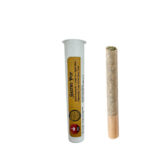 ORGANIC GASTRO POP LTO PRE-ROLLS