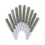 GENGHIS CHRON PRE-ROLLS