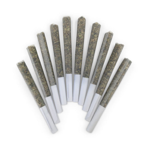 GENGHIS CHRON PRE-ROLLS