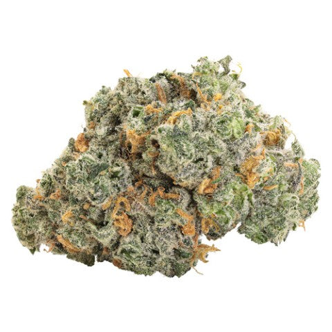 BBOB BLUEBERRY DREAM DRIED FLOWER