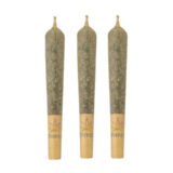 JACK HERER PRE-ROLLS