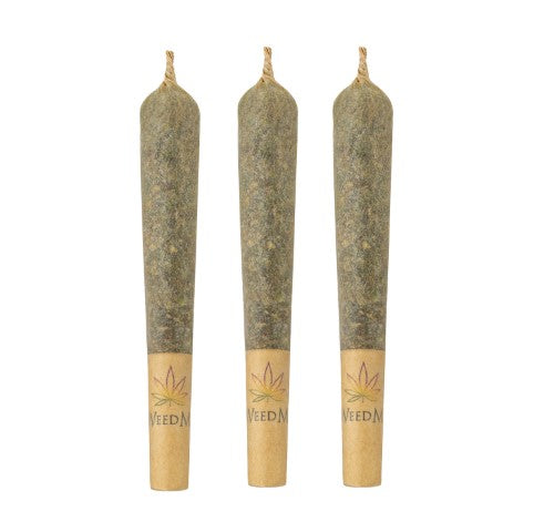 JACK HERER PRE-ROLLS