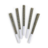 PINK EUPHORIA PRE-ROLLS