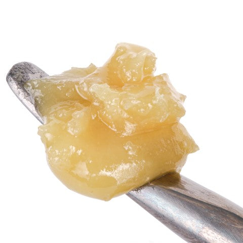 BUBBLEGM SIGNATURE LIVE ROSIN LTO